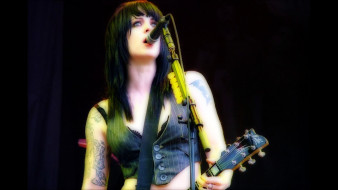 the-distillers, , the distillers, 