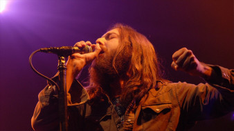 the-black-crowes, , the black crowes, 