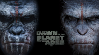      2560x1440  , dawn of the planet of the apes, , , 