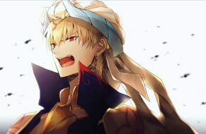      1920x1256 , fate, stay night,  grand order,  apocrypha, 