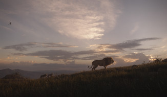      2148x1252  , the lion king , 2019, the, lion, king