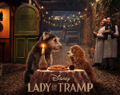      2000x1587  , -unknown , , lady, and, the, tramp, 2019