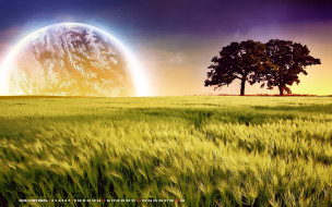     1478582 (a):cucushonok :2040x1275