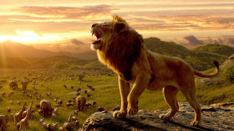      1920x1080  , the lion king , 2019, 