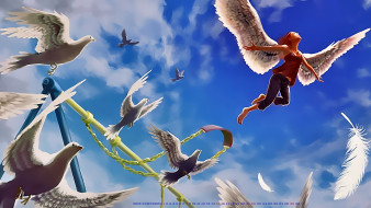     1479829 (a):cucushonok :1920x1080