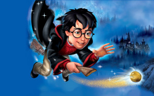      1920x1200  , harry potter and the sorcerer`s stone, , , , , , 