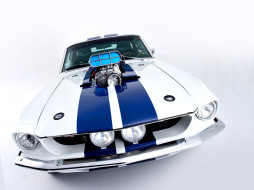, mustang