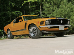 1970 ford mustang boss 302     1600x1200 1970, ford, mustang, boss, 302, 
