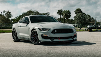      2560x1440 , mustang, ford, shelby, gt350