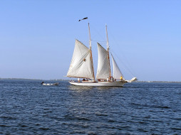 Sailboat     1600x1200 sailboat, , 