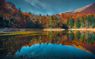 природа, реки, озера, озеро, отражение, лес, красота, осень, золотая, небо, вода, деревья, зеркало