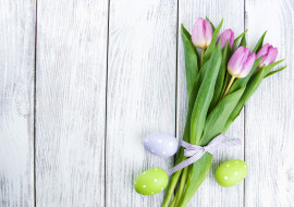 , , , , colorful, , happy, wood, pink, flowers, tulips, easter
