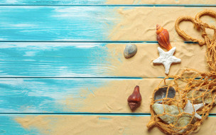      2880x1800 , ,  ,    spa-, , , beach, wood, sand, marine, still, life, starfish, seashells