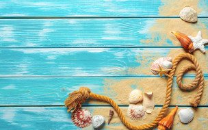      2880x1800 , ,  ,    spa-, , , beach, wood, sand, marine, still, life, starfish, seashells