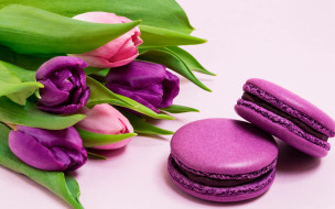, , , , , flowers, tulips, purple, macarons