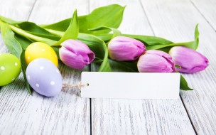      2880x1800 , , , , happy, flowers, tulips, easter, purple, eggs