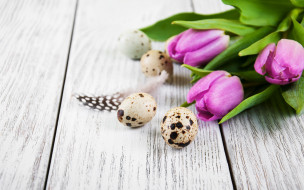 , , , , happy, flowers, tulips, easter, purple, eggs