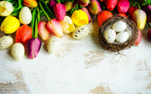 , , , colorful, , happy, flowers, tulips, easter, eggs, , 
