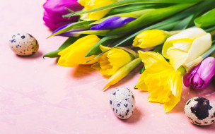      2880x1800 , , , , colorful, , happy, flowers, tulips, easter, eggs