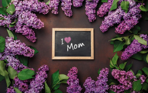      2880x1800 ,  , , love, wood, flowers, , romantic, letter, spring, purple, lilac, mother's, day