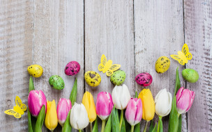      2880x1800 , , , , colorful, , happy, pink, flowers, tulips, easter, eggs