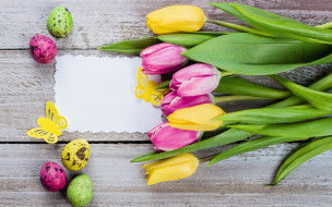 , , , , colorful, , happy, pink, flowers, tulips, easter, eggs