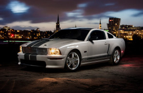 , mustang, shelby