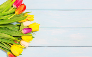 , , colorful, wood, flowers, tulips, spring