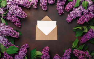      2880x1800 , , love, wood, flowers, romantic, letter, spring, purple, lilac