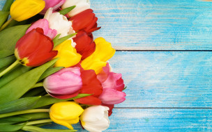 , , colorful, wood, flowers, tulips, spring