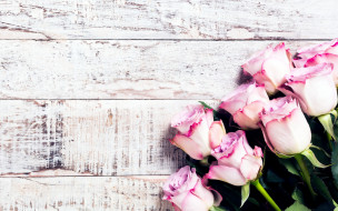      2880x1800 , , , , wood, pink, flowers, roses