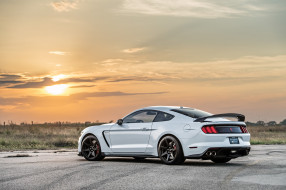 , mustang, hennessey