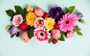 , ,  , colorful, flowers, composition, floral