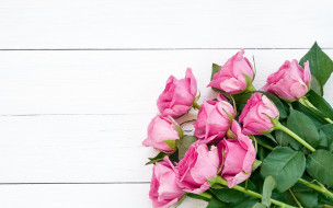 , , , , wood, pink, flowers, roses