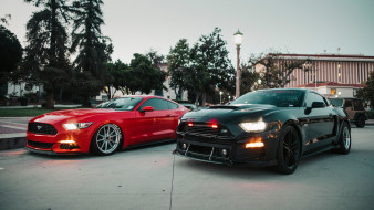 , mustang, ford