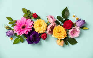 ,  , colorful, flowers, composition, floral