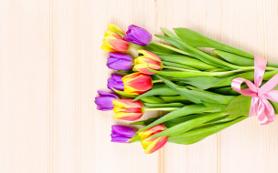 , , , , , , flower, yellow, wood, background, tulips, purple, pin