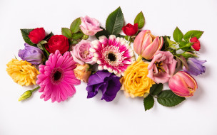      2880x1800 ,  , colorful, flowers, composition, floral