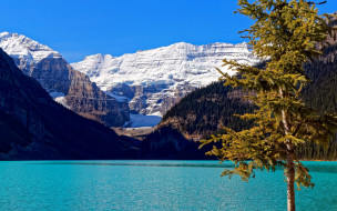 lake louise, banff national park, canada, природа, реки, озера, lake, louise, banff, national, park