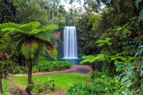 Millaa Millaa falls,North Queensland,Australia     1920x1279 millaa millaa falls, north queensland, australia, , , millaa, falls, north, queensland