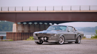 , mustang, ford, gt500, shelby, eleanor