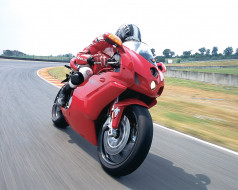 , ducati