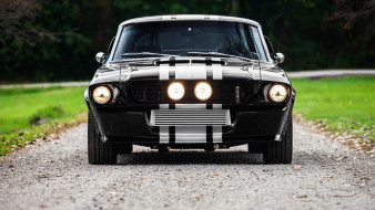 , mustang, ford, shelby, gt500cr