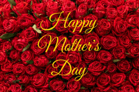 праздничные, день матери, алые, розы, много, надпись