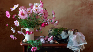 цветы, космея, букет, розовая, ракушки, сундучок