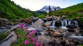 природа, водопады, гора, камни, водопад, цветы