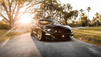      3840x2160 , mustang, ford, shelby, gt350