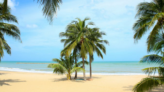 природа, тропики, море, пальмы
