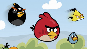  , angry birds, , 