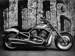 Harley-Davidson VRSCA V-Rod 2003     1600x1200 harley, davidson, vrsca, rod, 2003, 